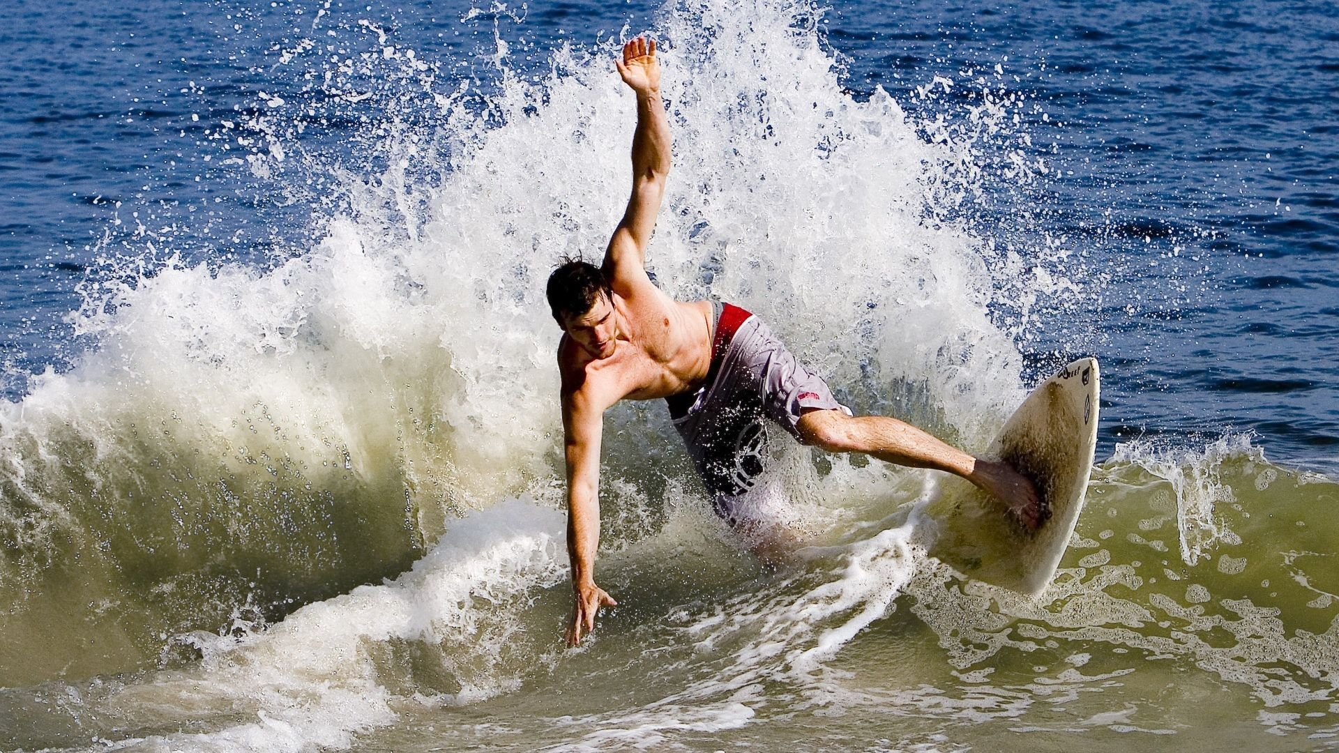 比利时游泳队在本届奥运会上未获得奖牌，比利时奥运冠军